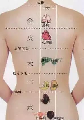 你的背是什么样的,你的背应该是怎样的