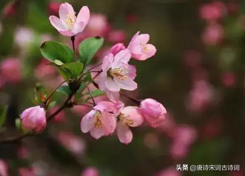 杜牧写下一诗短短4句感人至深,杜牧的十首经典诗篇