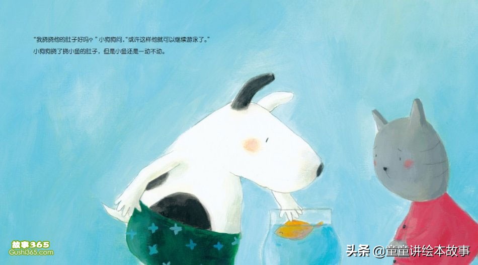 有声绘本故事小猫咪追月亮,绘本故事小猫小鱼