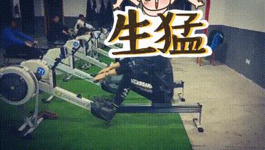 皮划艇划船机正确姿势,皮划艇划船机训练视频