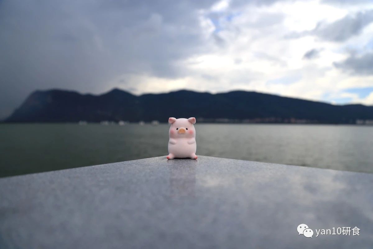 昆明滇池美食推荐菌火锅,滇池边菌子火锅