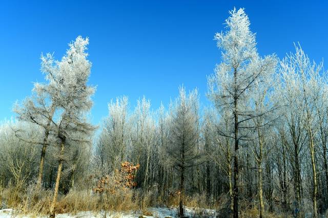 吉林省通化市柳河,吉林通化县柳河