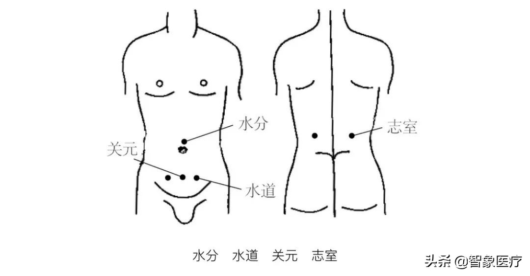产后腹部紧致按摩手法教程,产后修复穴位埋线
