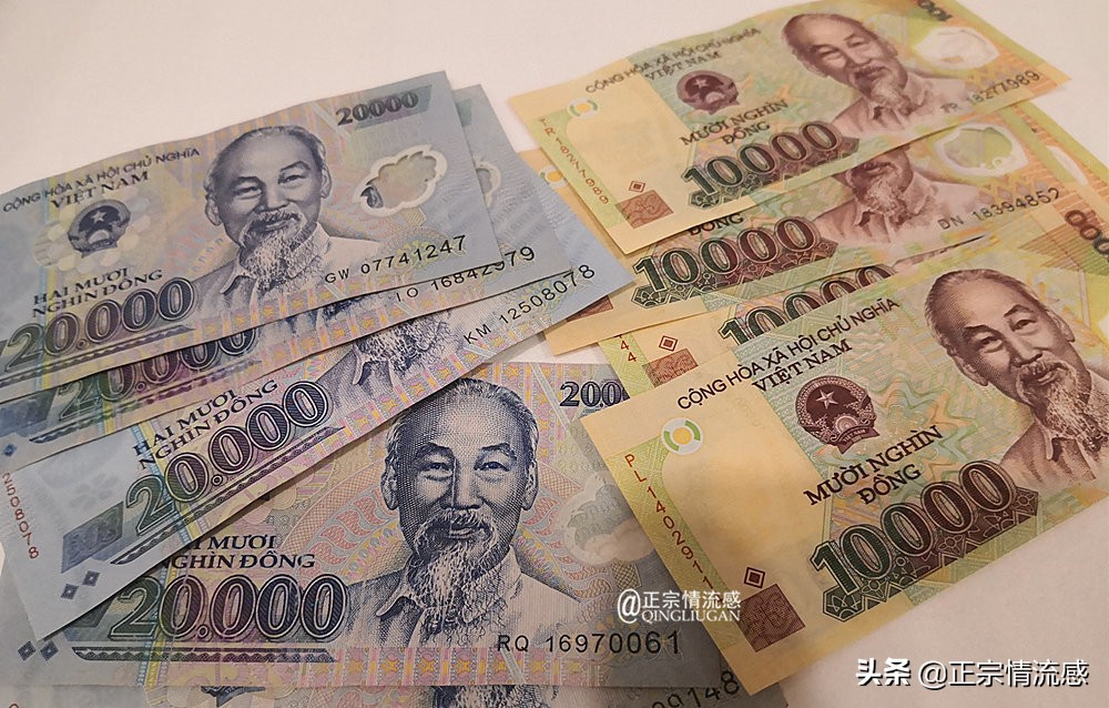 芽庄印象｜|想说爱你不容易