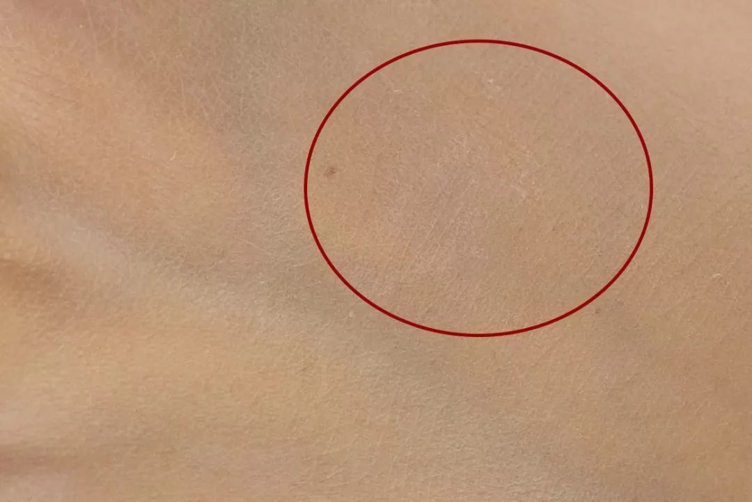 网红垃圾桶真的好用吗,那些网红分类垃圾桶好用吗