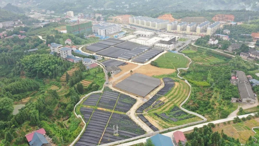 新泉好物,新泉严选好物