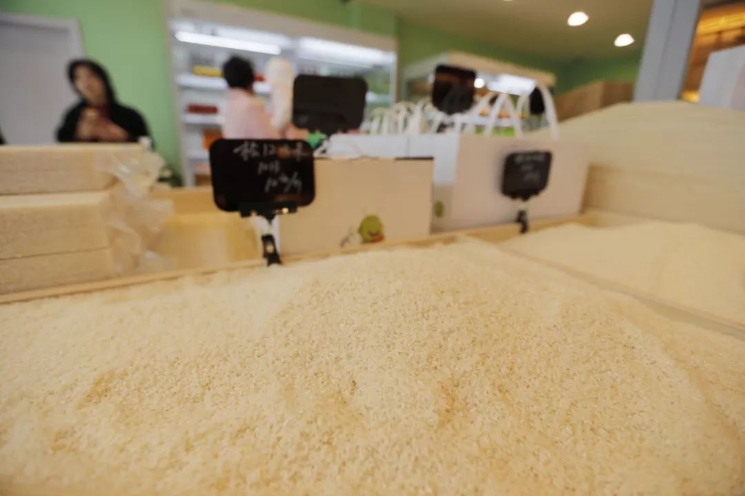 松江绿色农产品,泖港绿色食品基地