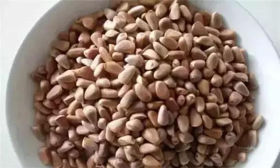 东北版满汉全席,原汁原味的满汉全席