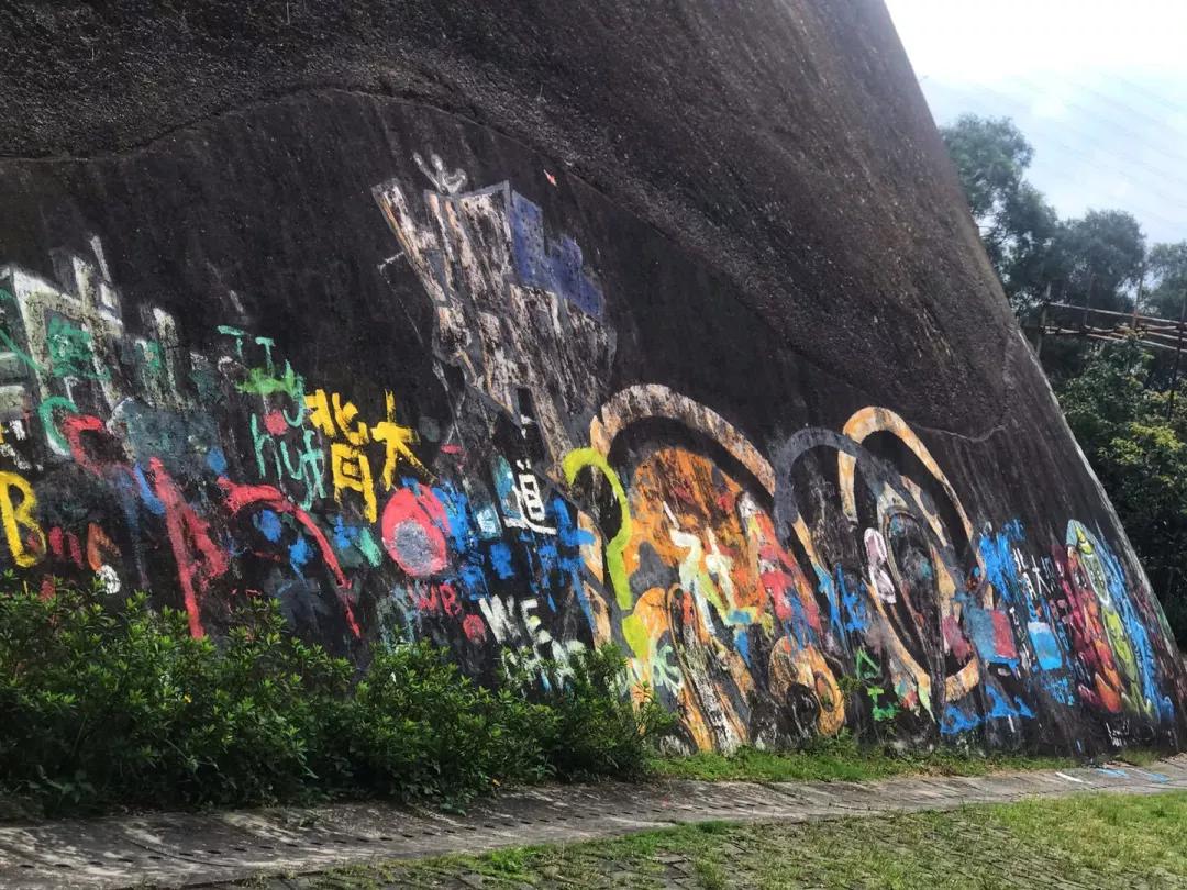 深圳这10条绿道你去过没,深圳十大绿道排行榜