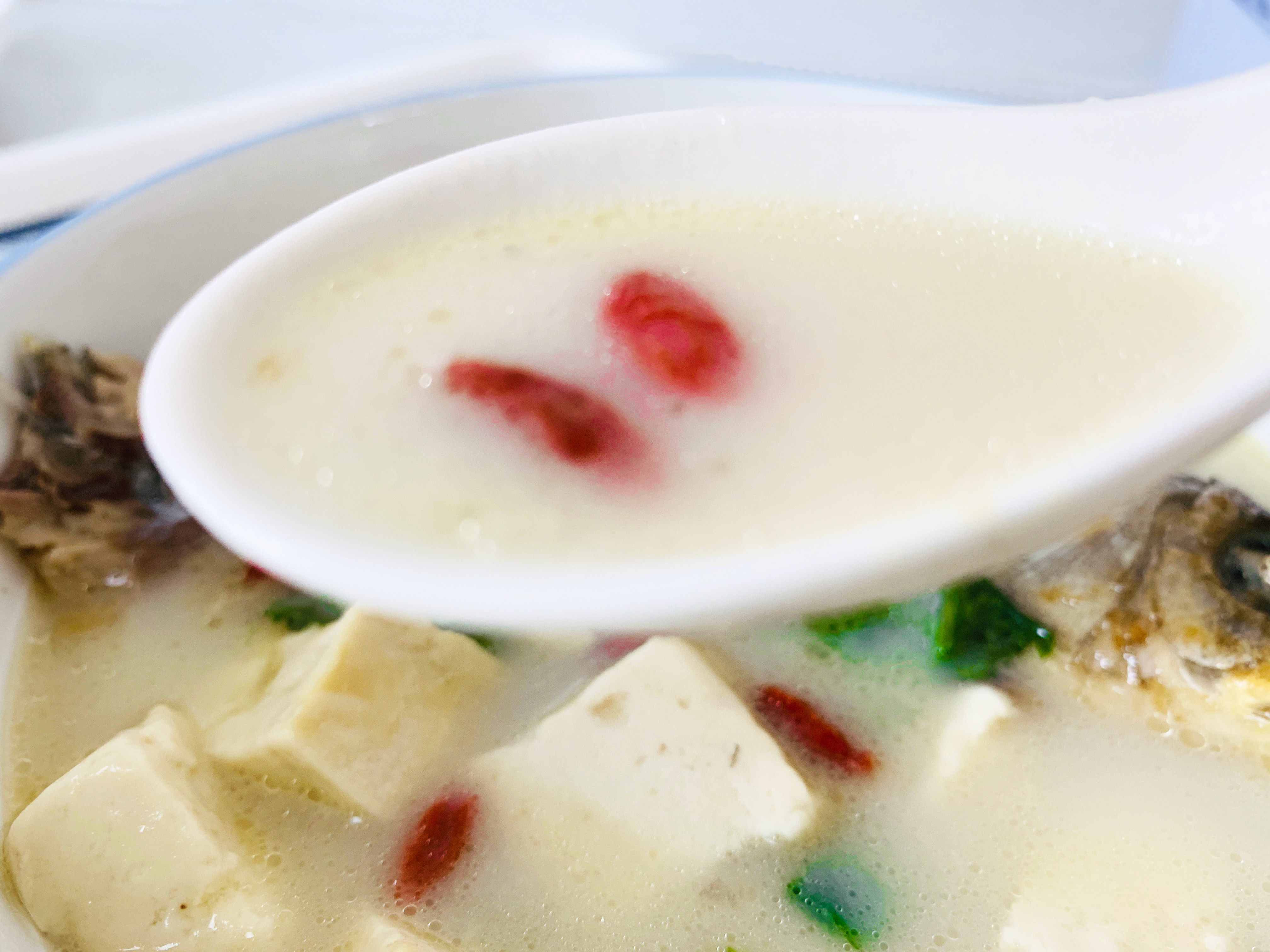 鱼汤的做法鲫鱼炖豆腐放什么材料,鲫鱼炖豆腐豆腐怎么更入味