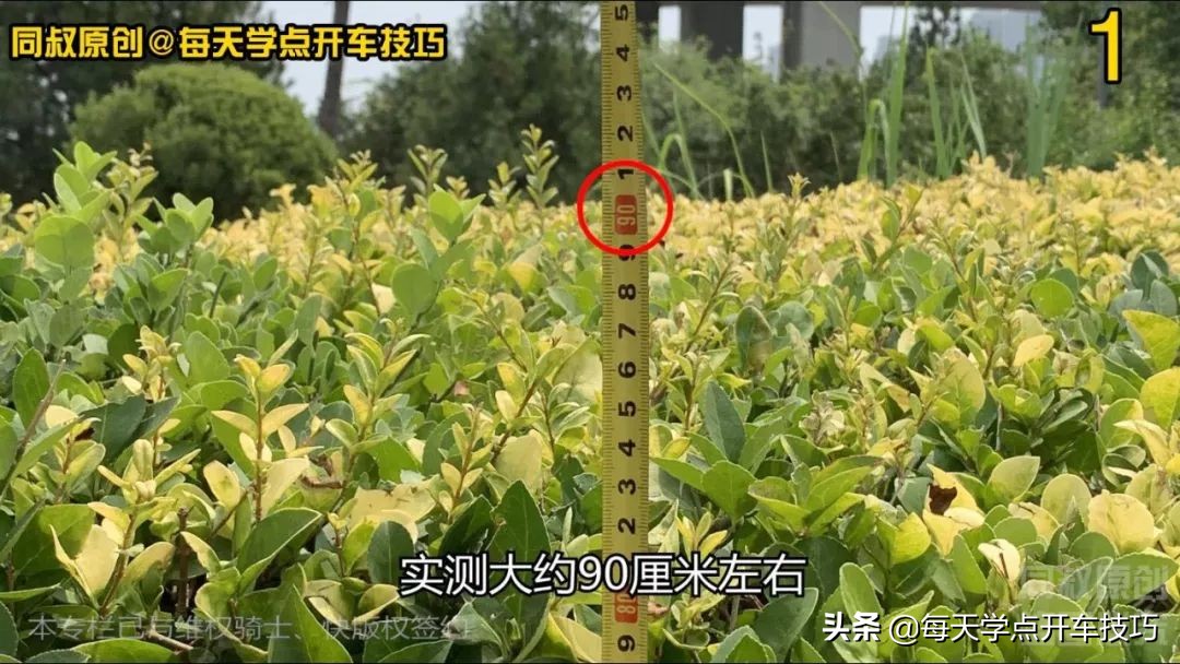 倒车拐弯，车头障碍极限距离不刮蹭技巧，适用于新手各种倒库练习