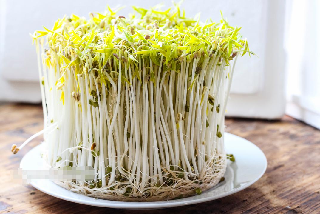 发豆芽的常识和技巧,发豆芽的七个步骤