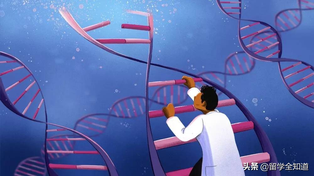 学好数理化是天赋还是努力重要,学习数理化有什么好方法