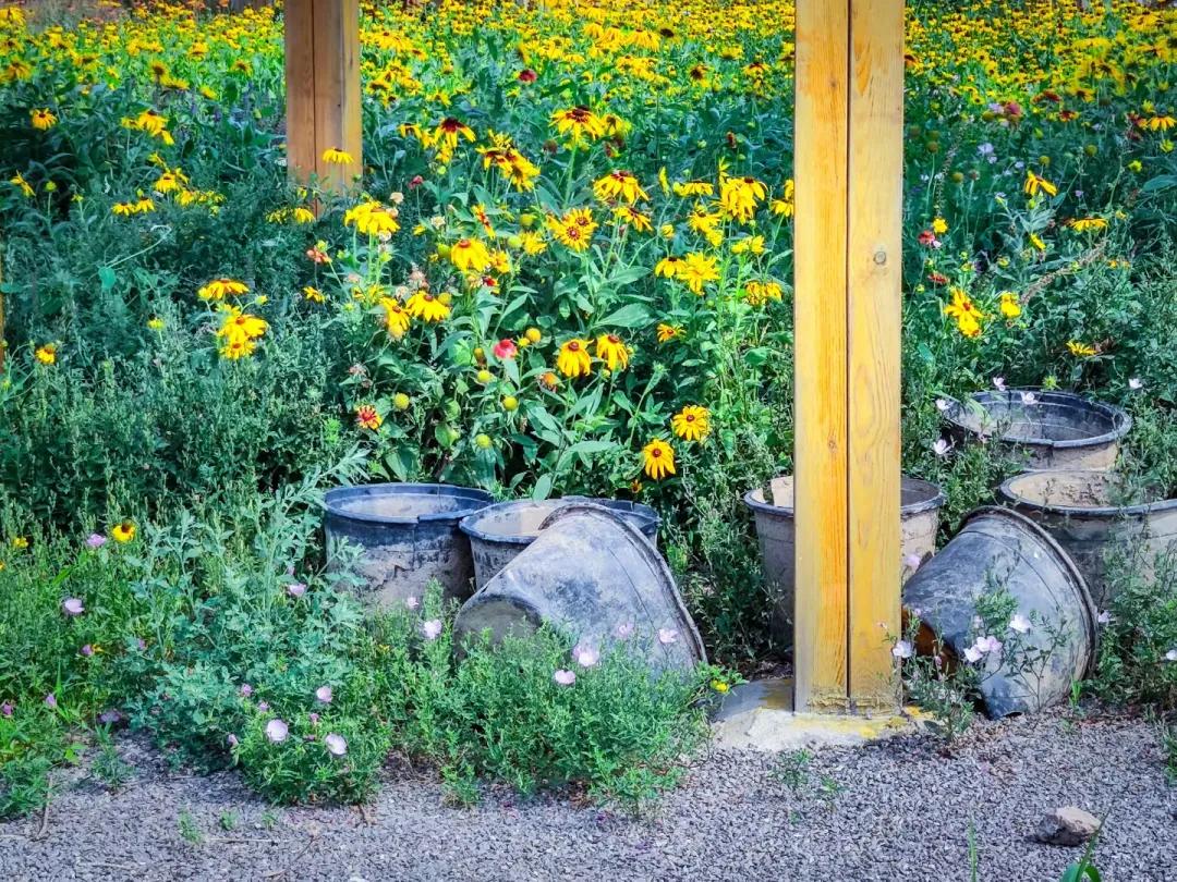 在济南花式避暑，一见“清”心！只需一瞥，便足以把酷夏原谅…
