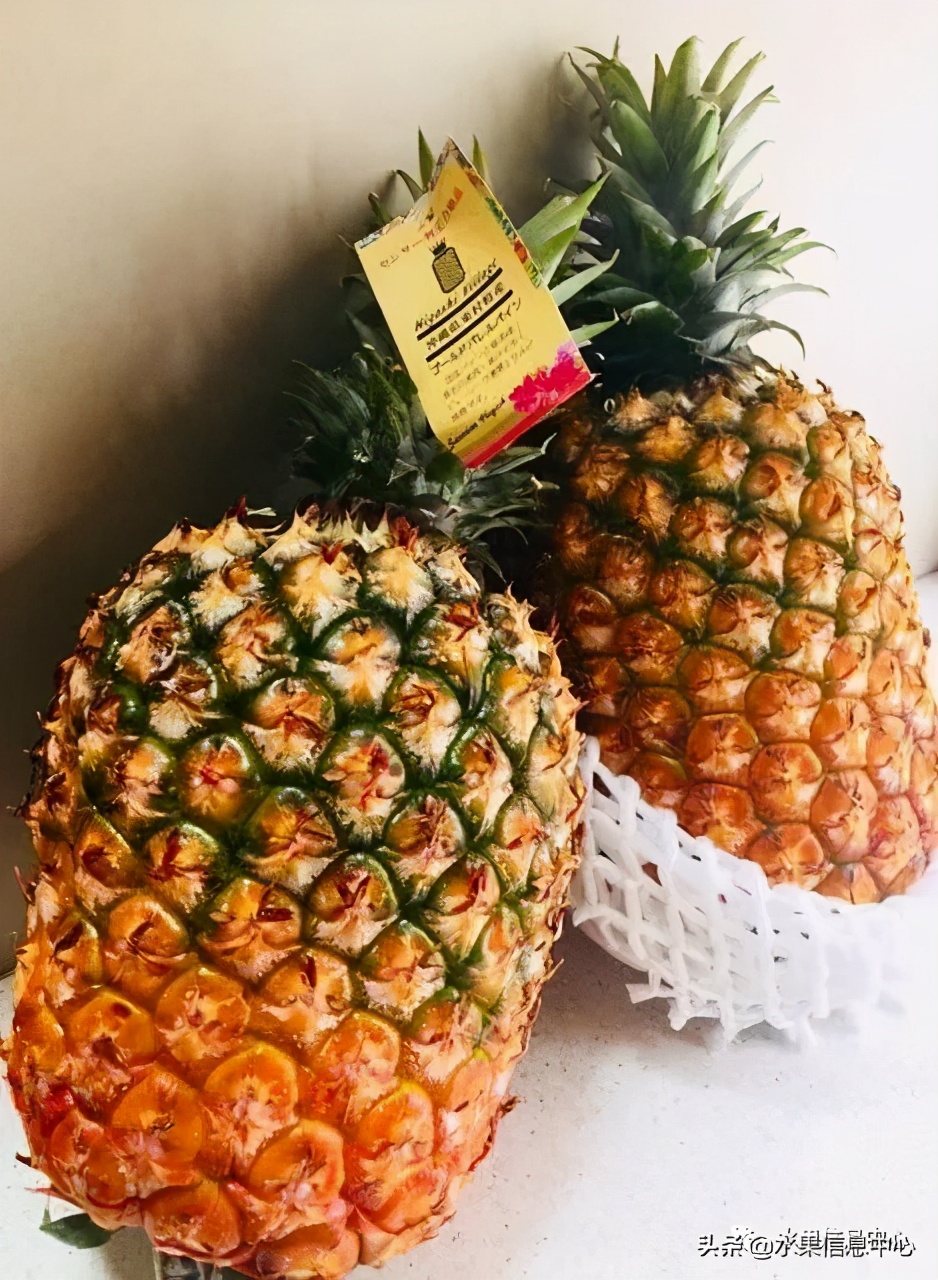 日本进口的菠萝,日本菠萝