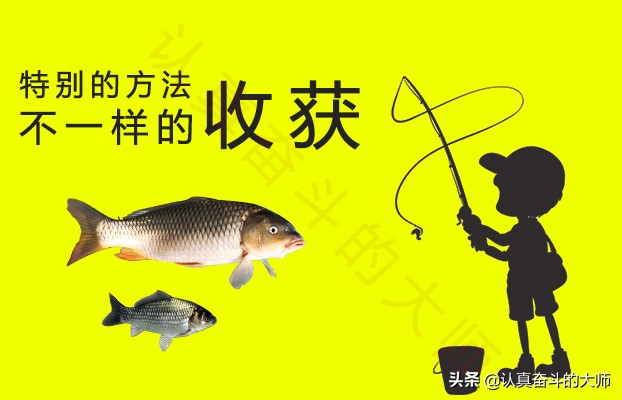 小杂鱼多了怎么避开小杂鱼,小杂鱼怎么治