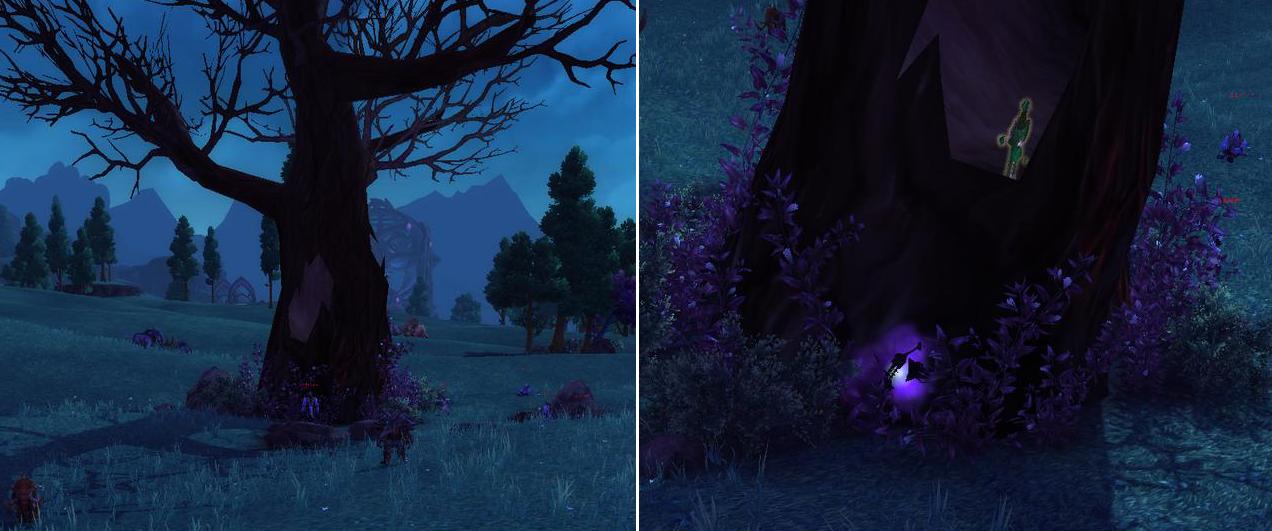 灵魂兽戈拉任务在哪里接,魔兽世界灵魂兽戈拉能抓几只