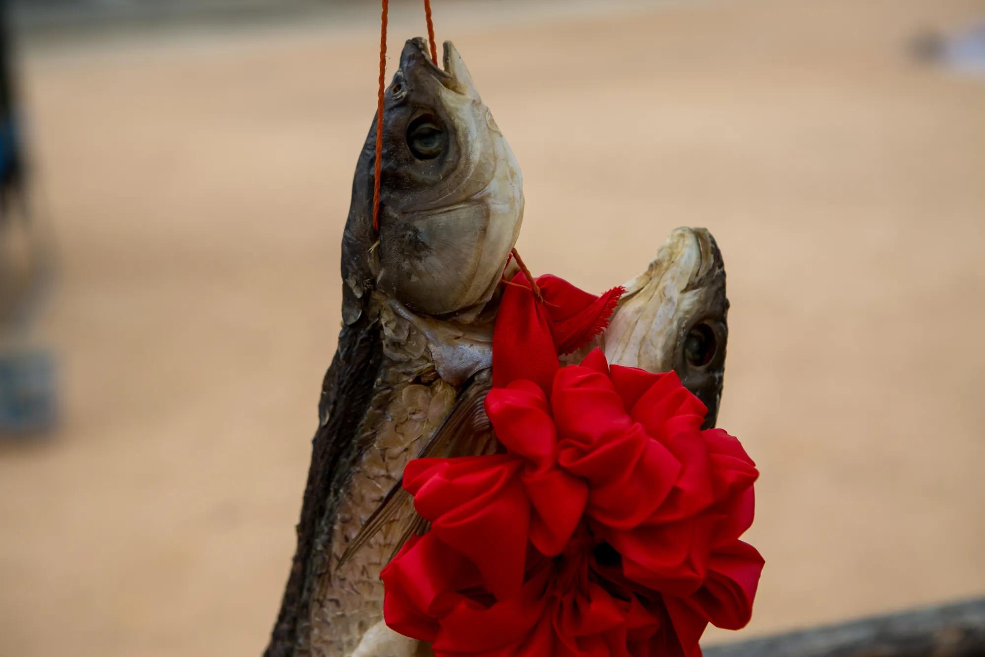 高岭古村银杏,高岭乡高岭村