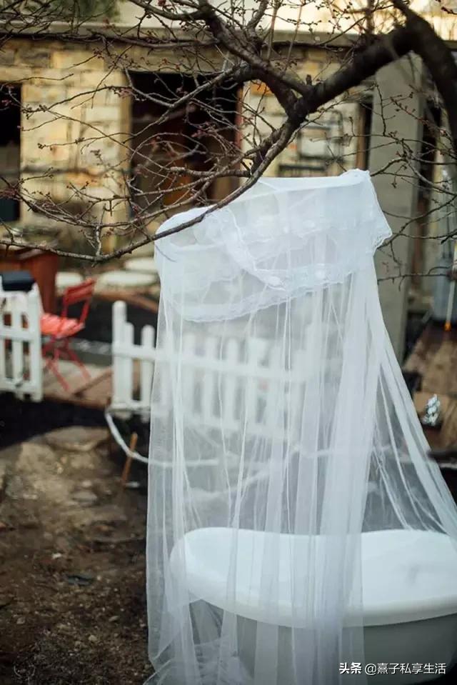 怎么打造低成本花园,怎么用几十元造花园