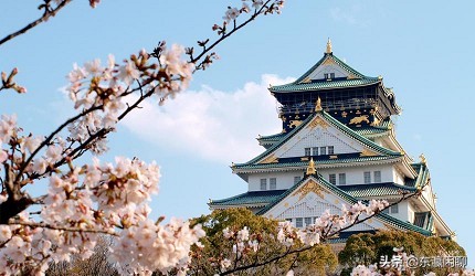 从关西到京都怎么坐车,从关西机场到大阪市区怎么最划算