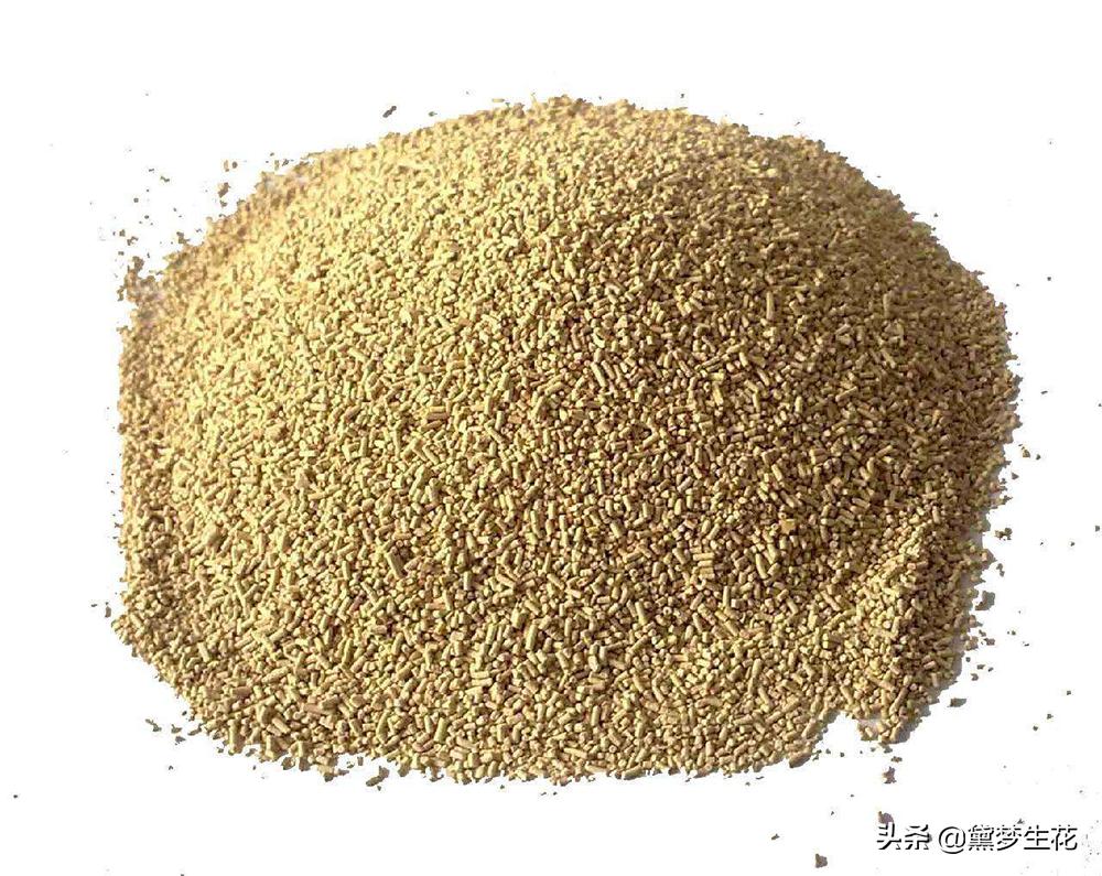 经常食用酵母粉做的馒头好吗,经常吃酵母泡打粉对身体有害吗