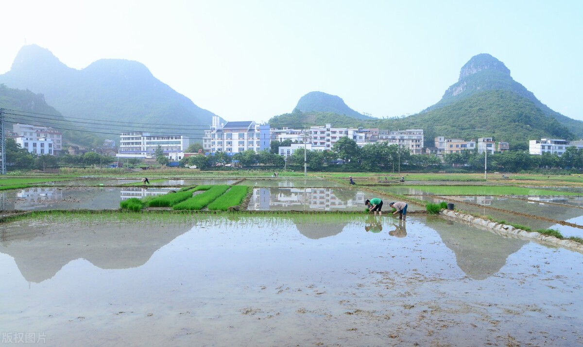 小说瘾有没有必要戒掉,20年的瘾怎样戒掉