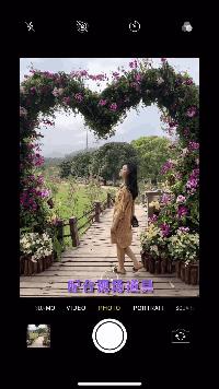 未来10天预警,深圳最最最最火的地方在这里,美女都赶来打卡