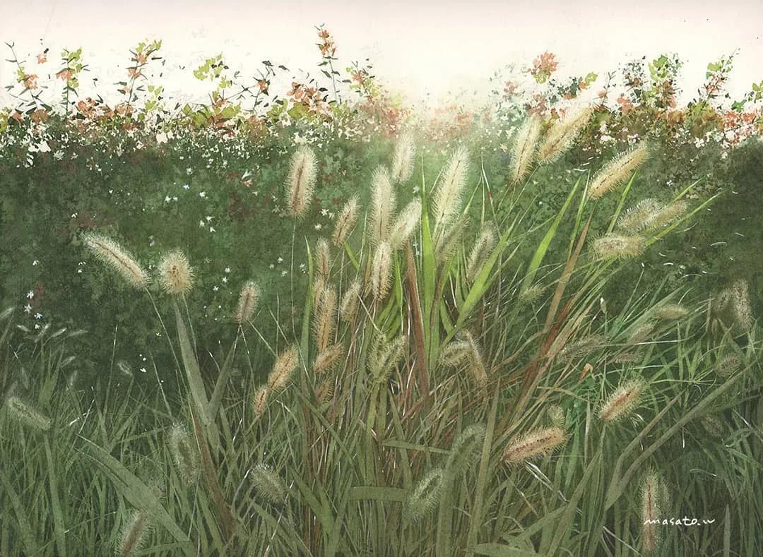 水彩大师笔下的花卉,简单唯美的水彩花卉