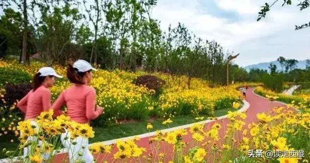 我的当兵之路800字,我的参军路