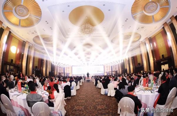 岳阳南湖天著有限公司,南湖天著岳阳中华大熊猫苑