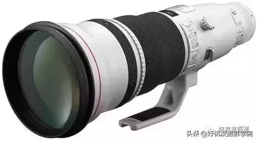 拍鸟最佳相机镜头配置,相机拍鸟技巧图解