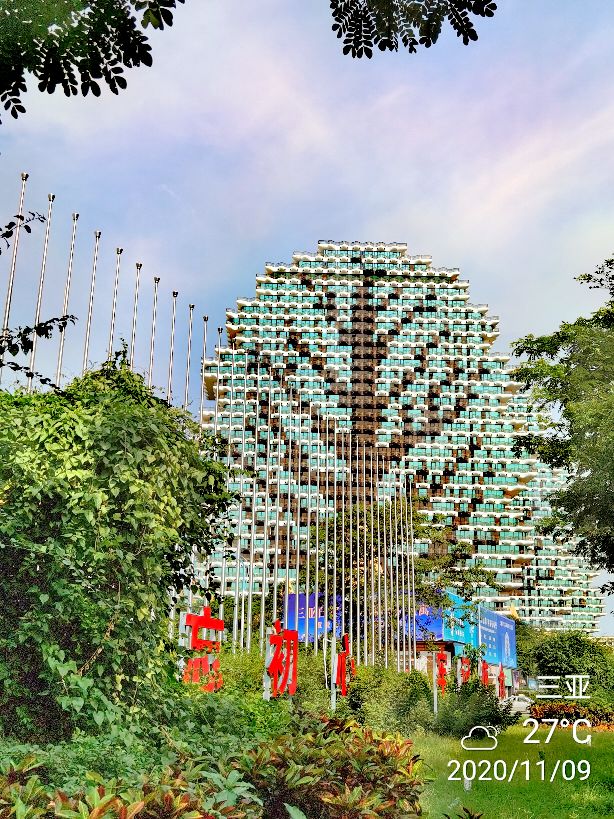 三亚地标性建筑美丽之冠大松树,三亚美丽之冠