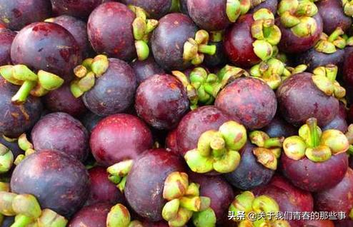 山竹看皮薄怎么挑,山竹怎么挑选5公6母