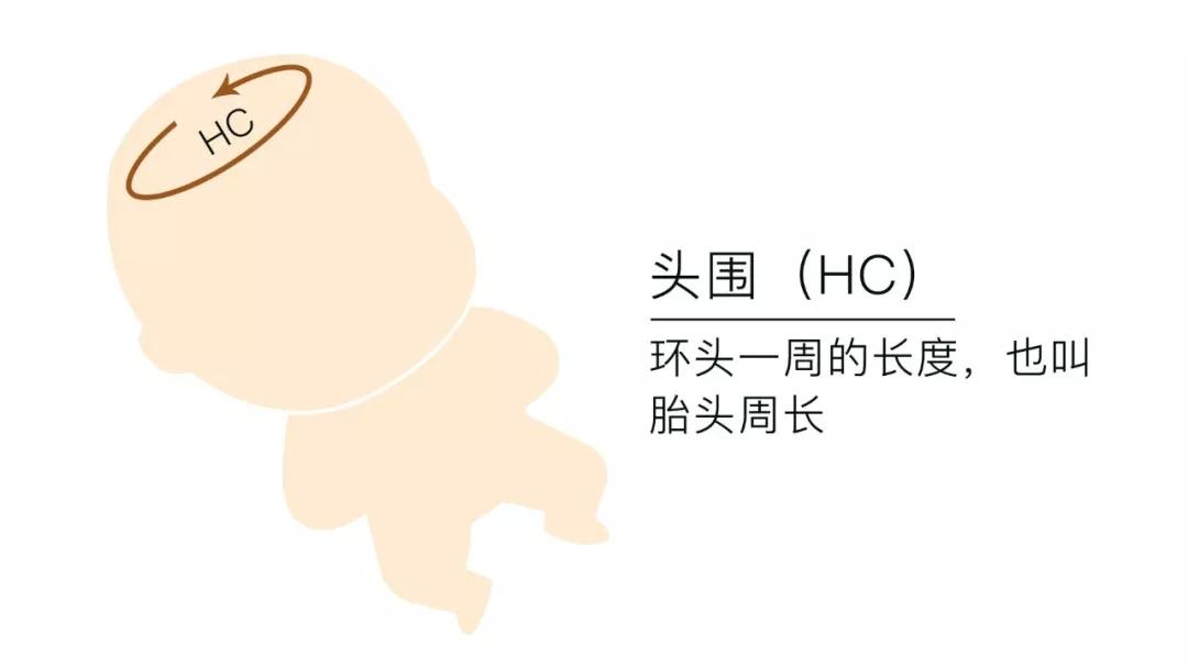 孕期到底需要做几次B超？B超/彩超/三维/四维的区别及选择