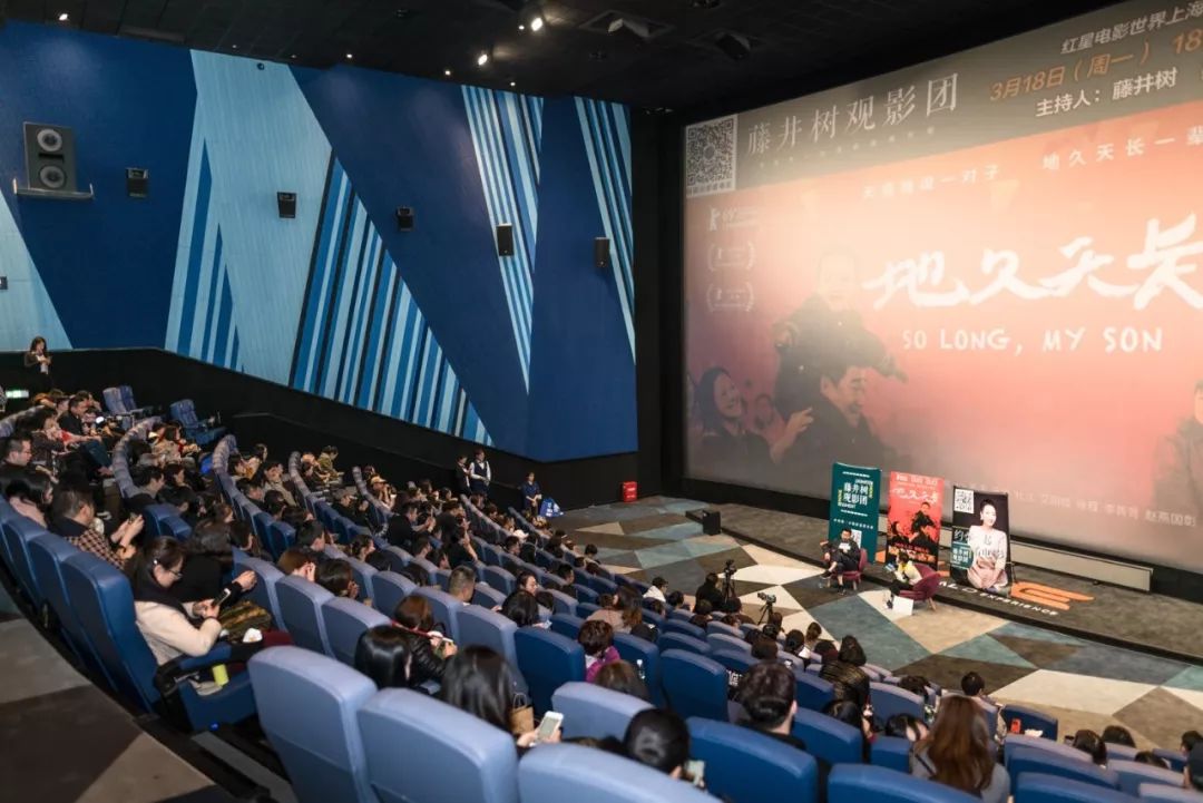 藤井树哪个电影最好看,藤井树观影团公司在哪里