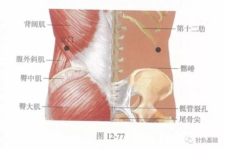 脏腑的募穴的作用是什么,募穴是离脏腑最近的穴位