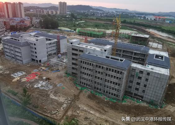 蹇冪郴姘戠敓鍙戝睍澶ц,蹇冪郴姘戠敓鍔╂帹鍙戝睍