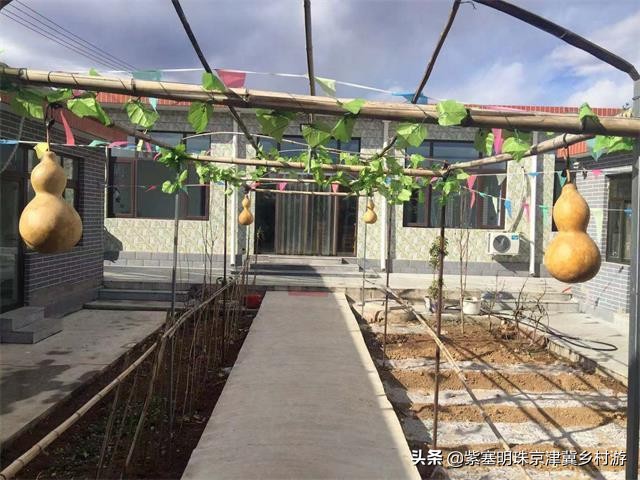 天津紫云水岸香草园在哪,天津市蓟州区紫云水岸草园