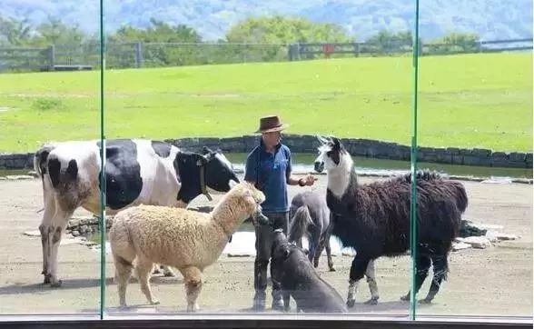 日本母亲农场项目,日本一个亲子农场年赚3亿