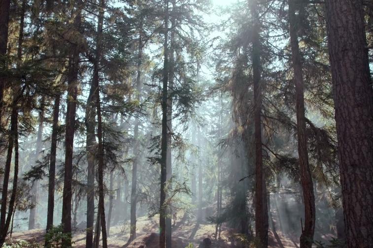 平凡的世界第二部心灵感悟 (再读平凡的世界苦难篇)