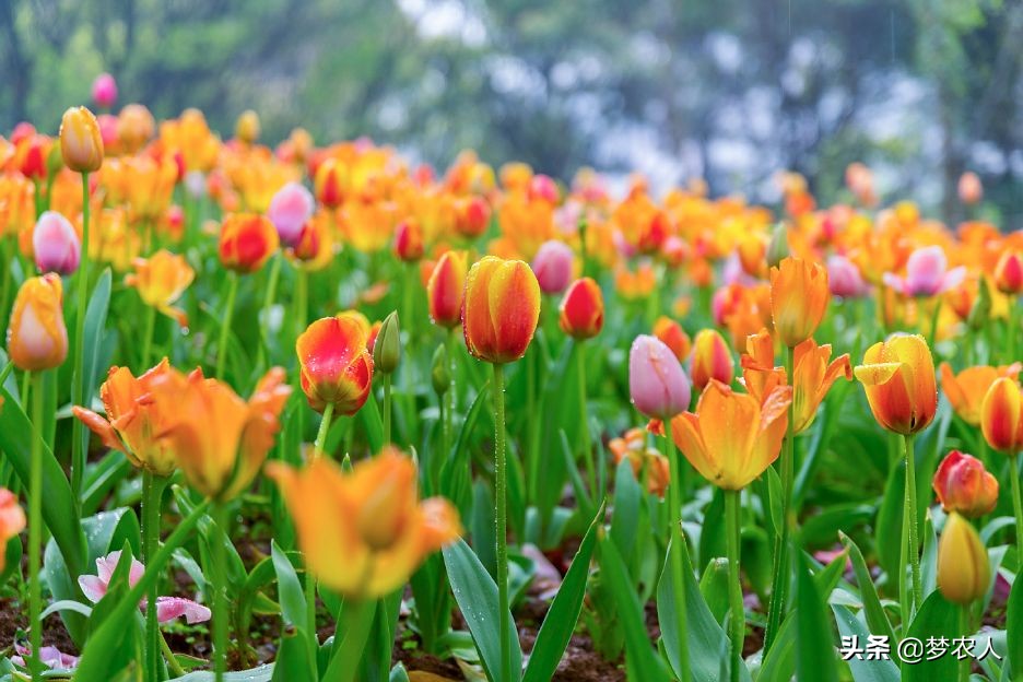 随时回复你微信的男人是什么情感,怎么回微信的男人爱你