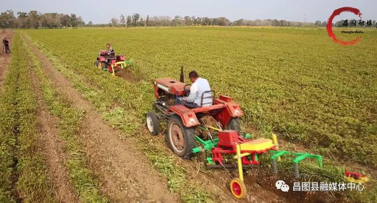 规划引领乡村振兴产业项目,支柱产业带动乡村振兴方案