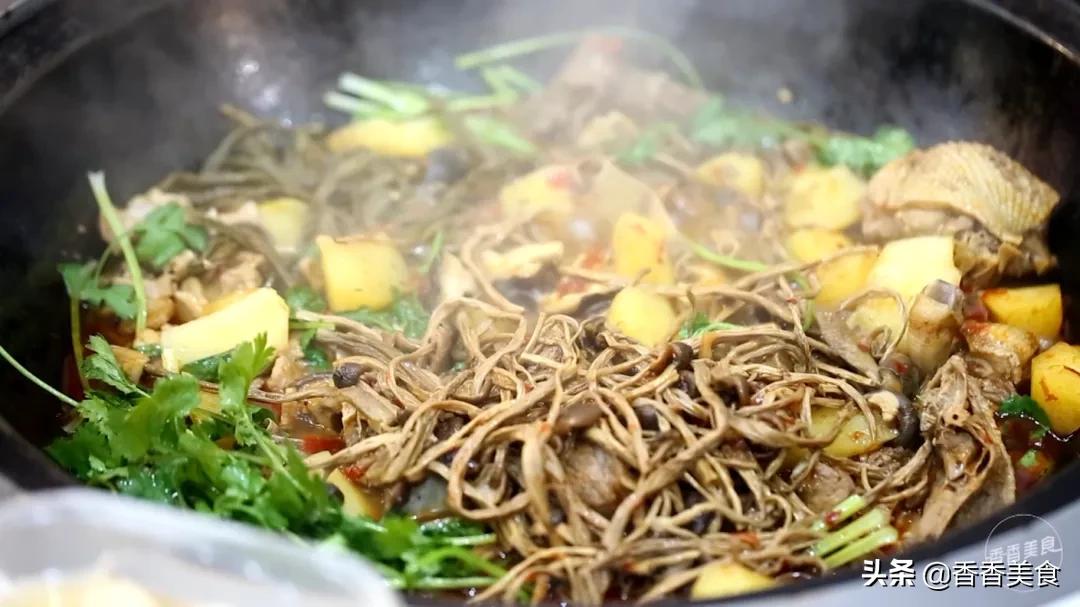 东北地锅种类,东北地锅是什么样子的