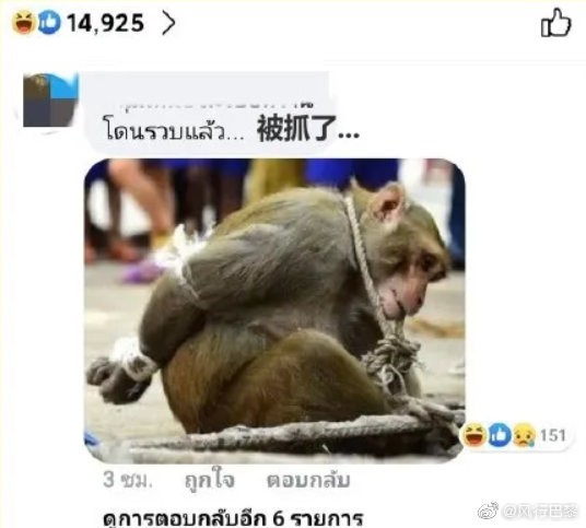 中国游客出国旅游回不来了,最不欢迎中国游客的三个国家