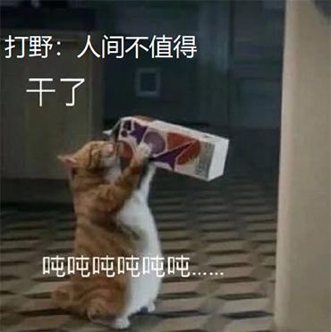 lol可以带几个召唤师技能,lol局内改变召唤师技能