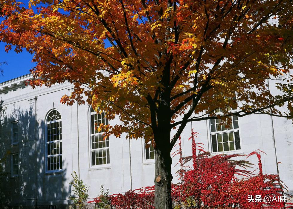 美国康奈尔大学校园风景,美国校园美景