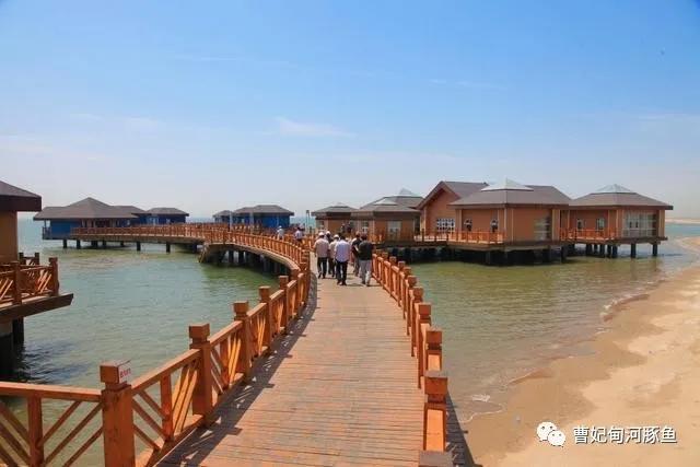 曹妃甸的新传说,渤海湾曹妃甸的魅力