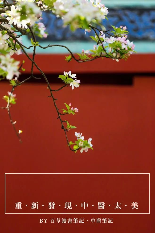 一切难调的病都是经络被阻的结果,治不好的病都是经络被掐断了