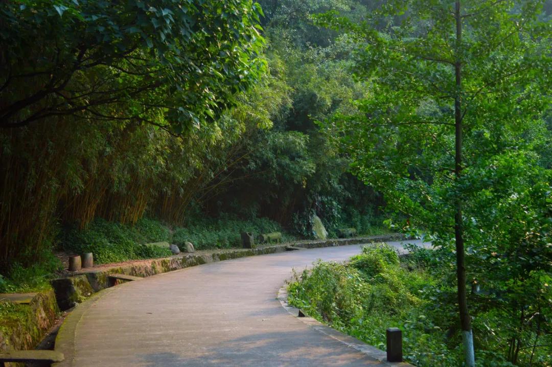 想报自考的人在哪找,想报自考去哪里报名