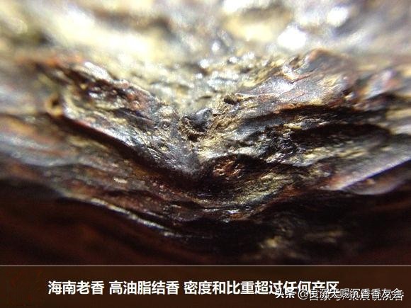 海南黄奇楠沉香什么味道,海南黎母山沉香味道和特征